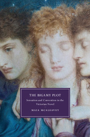 Cover of The Bigamy Plot