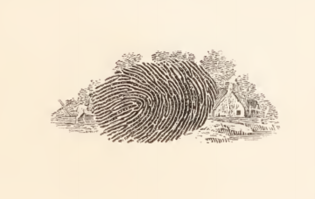 Figure 1 Illustration from Bewick's History of British Birds
