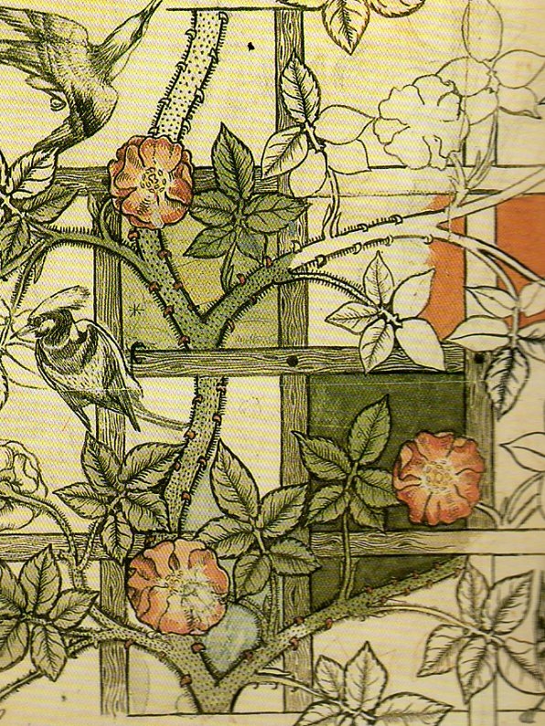 trellis